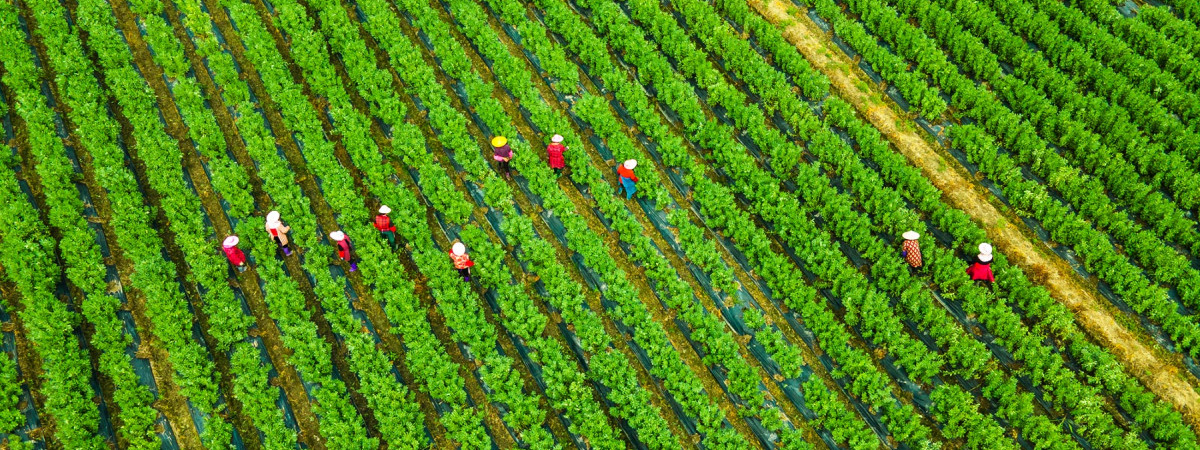 Developing Integrated Approaches to Human Rights, Climate, and Nature