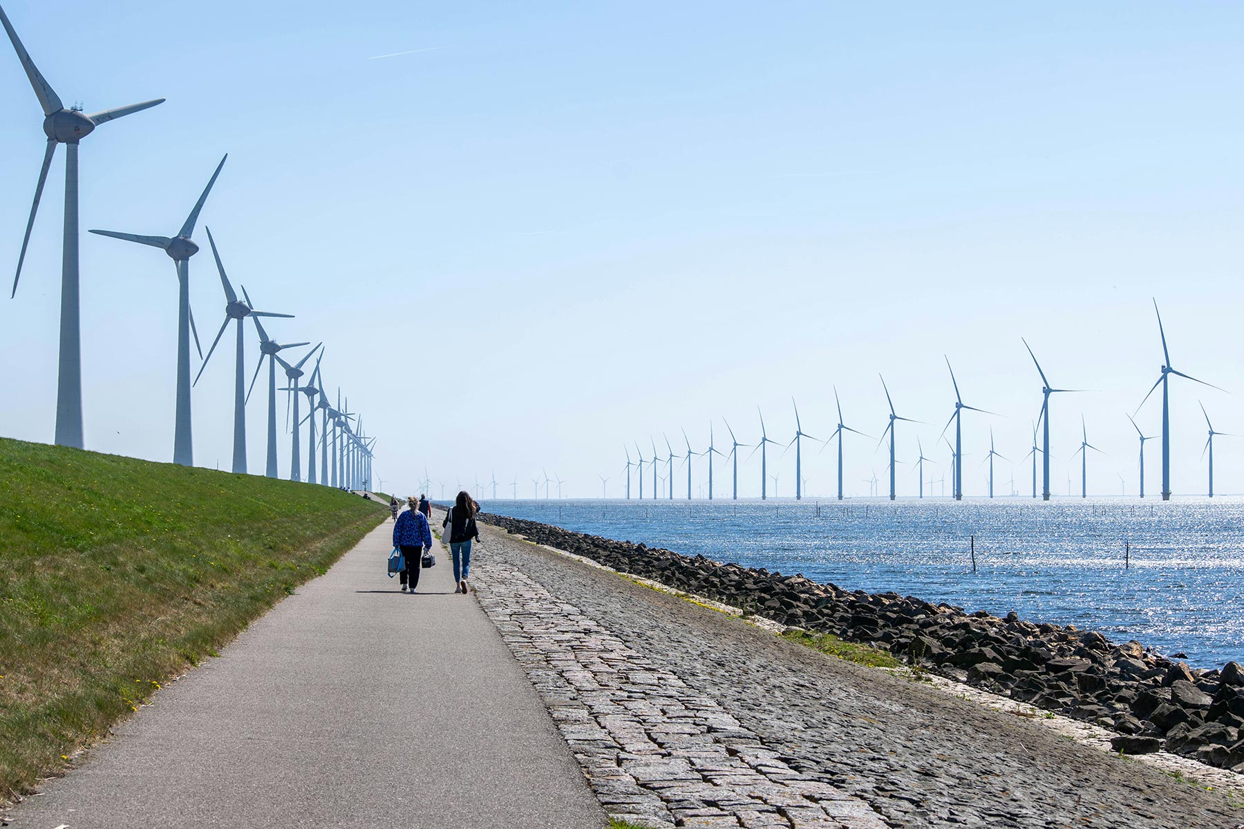 Standard Life: A Human Rights Approach to Net Zero