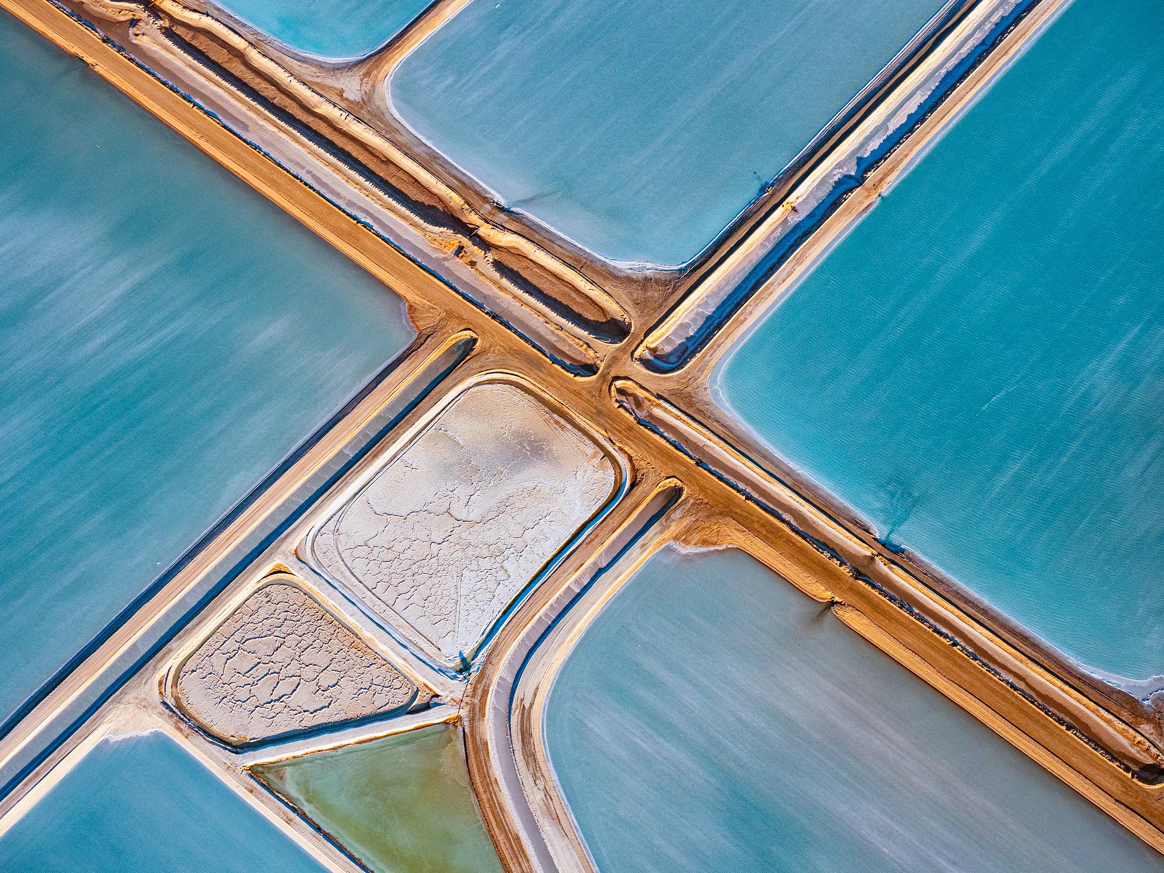 Climate Lens to Business Model Red Flags