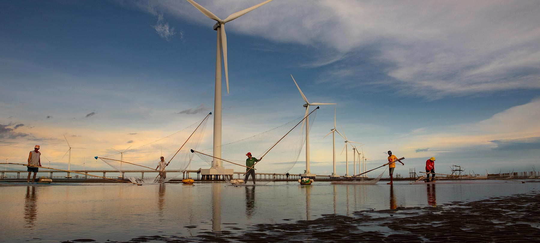 Solar panels and city skyline