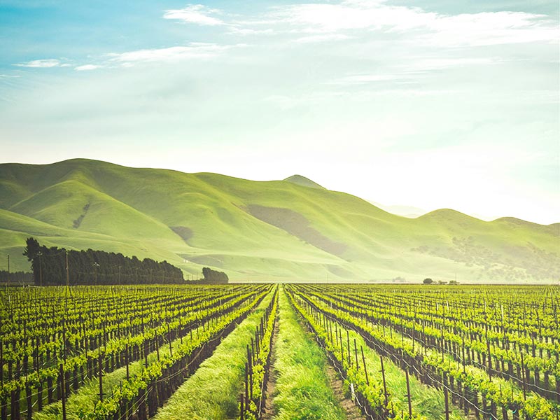 People-Centered Climate Action in Food Systems: Investor Guidance