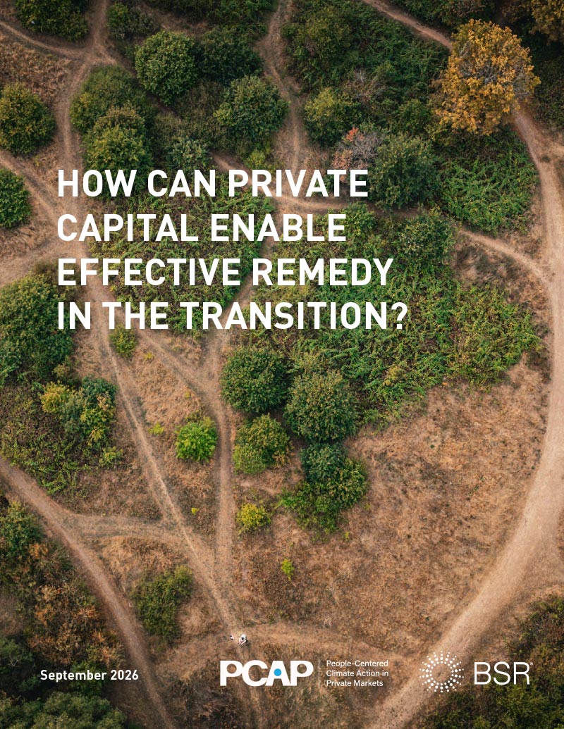 How Can Private Capital Enable Effective Remedy in the Transition? cover image