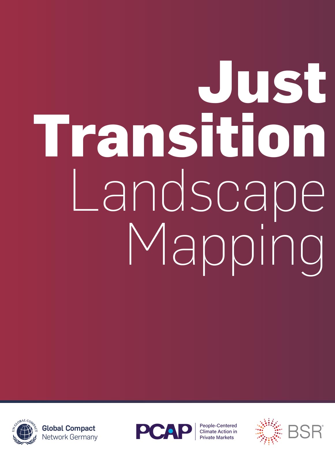 Just Transition Landscape Mapping cover image