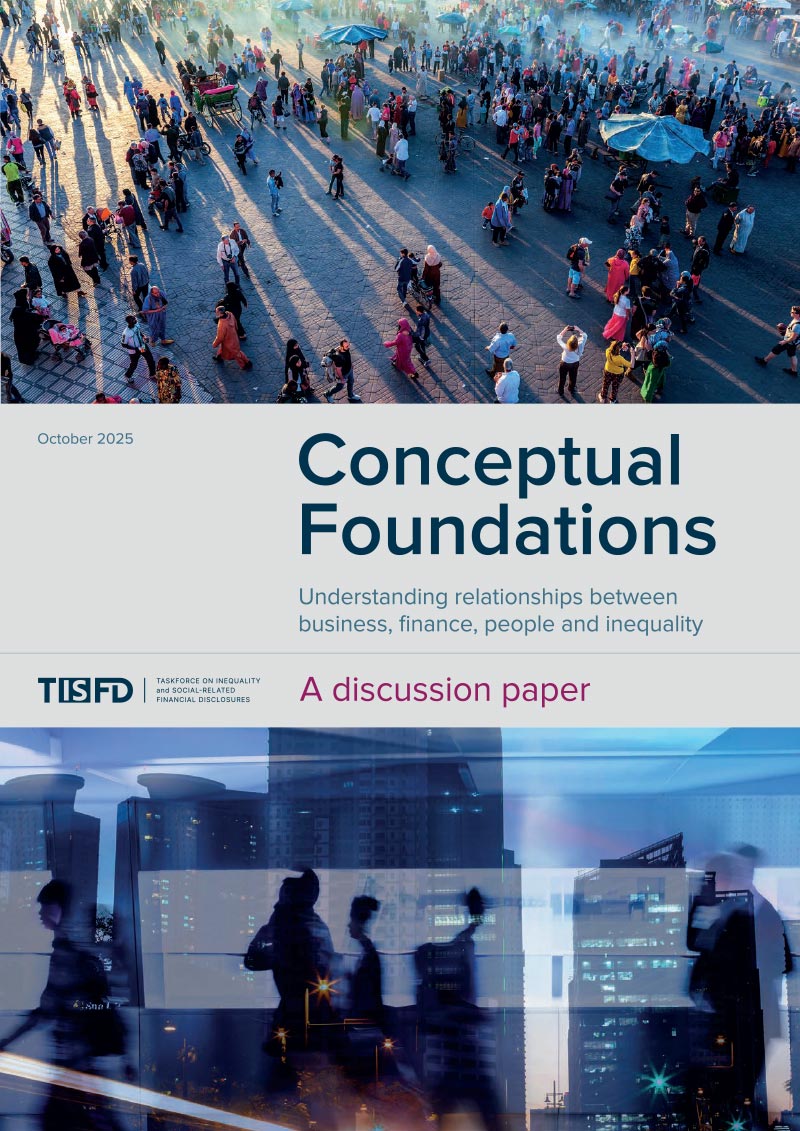  Conceptual Foundations (TISFD) cover