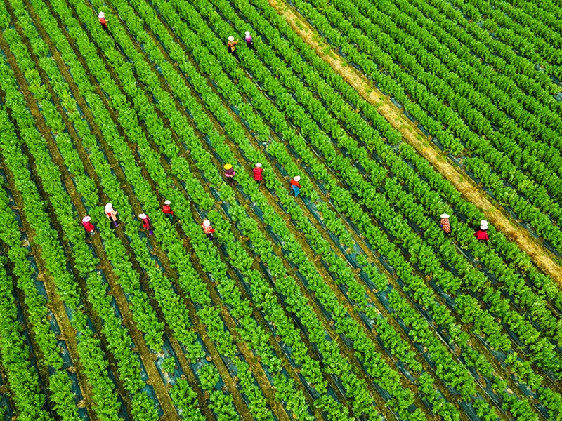 Developing Integrated Approaches to Human Rights, Climate, and Nature thumbnail image