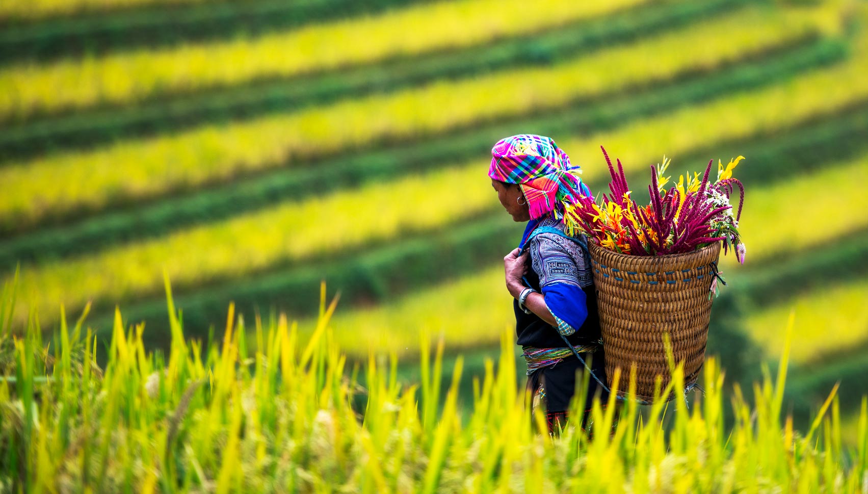 Woman walking in a field